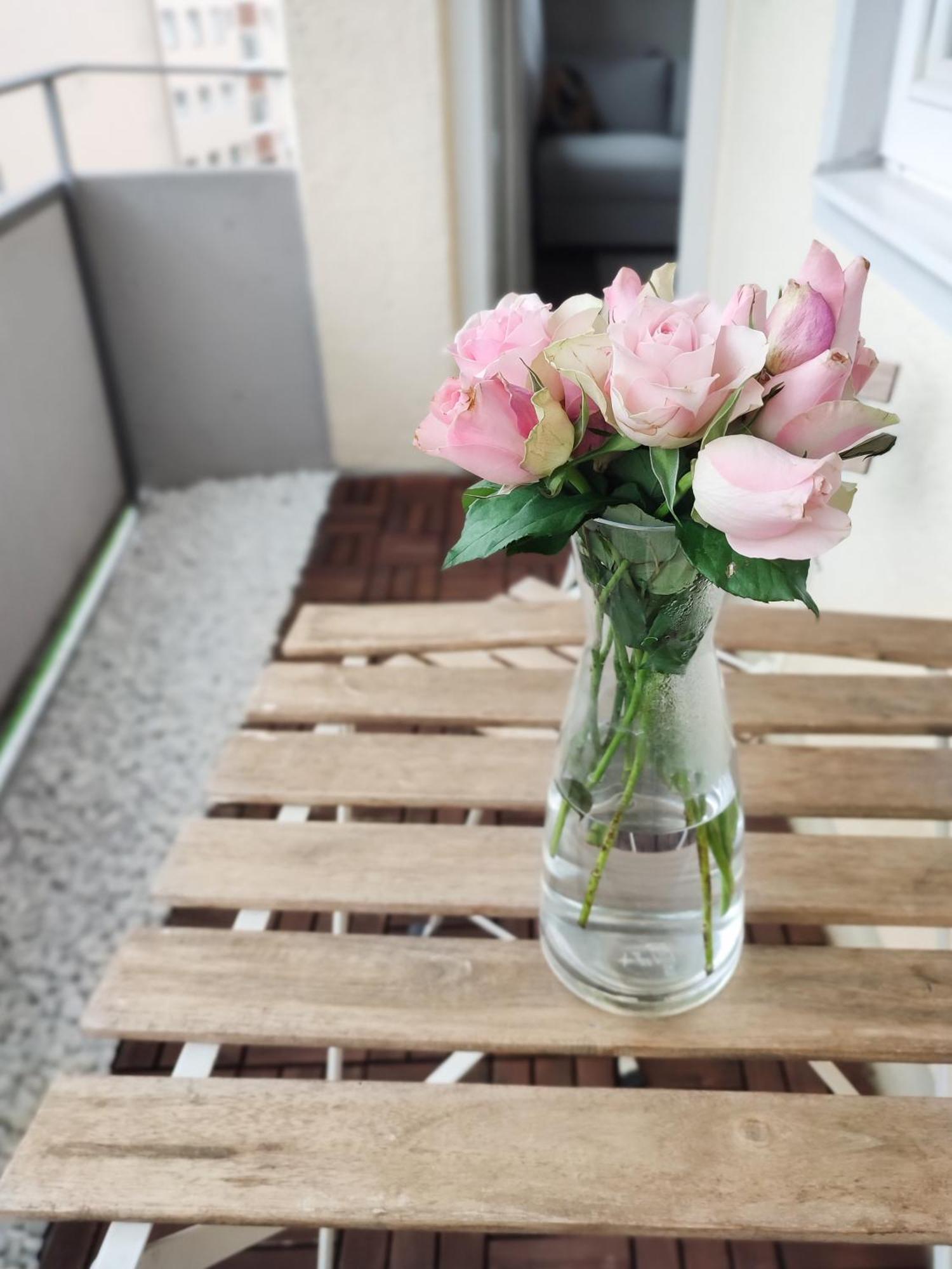 Apartment Business & Leisure Ingolstadt